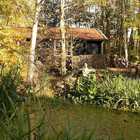 Zizania Villa Noord-Sleen Eksteriør billede