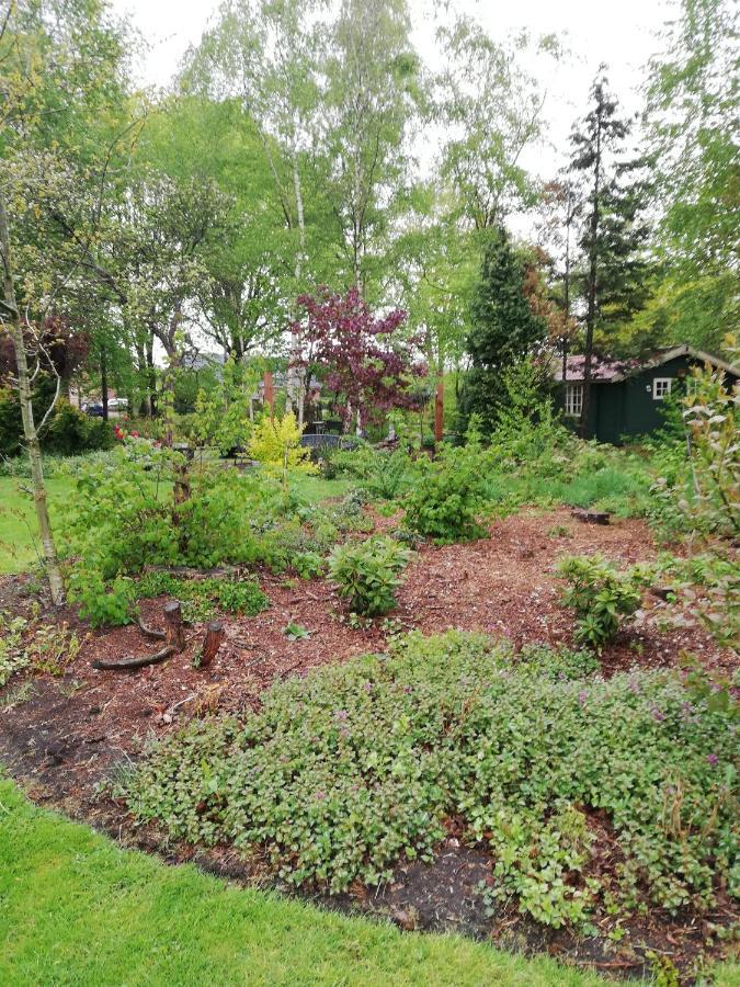 Zizania Villa Noord-Sleen Eksteriør billede
